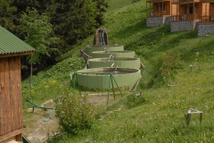 image101