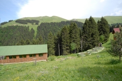 image102