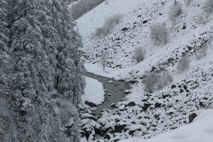 image68