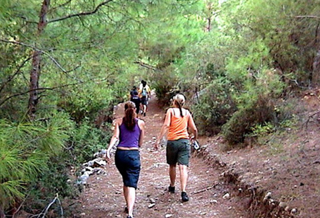 Hamsiköy Zitaş Bungalov