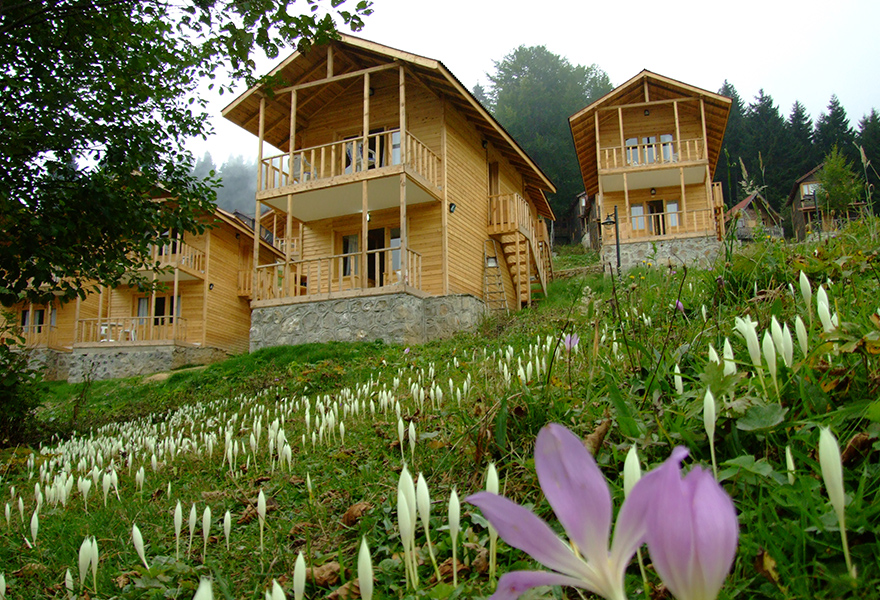 Hamsiköy Zitaş Bungalov